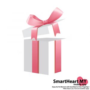 SmartHeart Gift Surprise Box